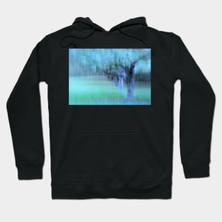 The Orchard Hoodie